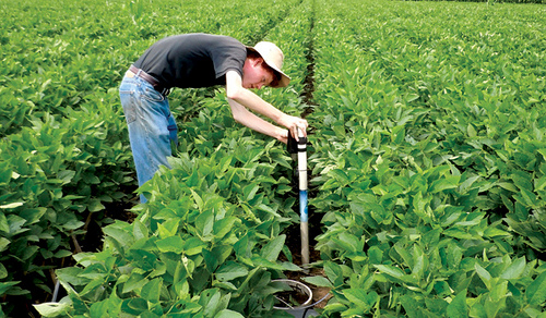 NIFA-funded grad student checks soil moisture gauge.