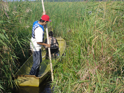 American Indian youth ricing. The  Leech Lake Band of Ojibwe  rely on water to preserve their culture, their agriculture and their overall quality of life