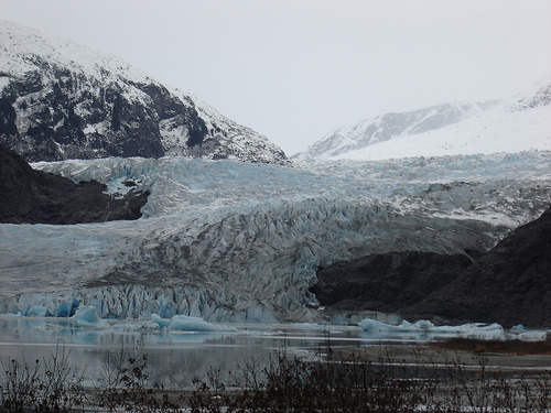 The 1500-pound glacial ice coming to the October 23-24 Science Fair came from a calved piece of the Mendenhall Glacier, like these seen floating in Mendenhall Lake on the Juneau Ranger District of the Tongass National Forest. (US Forest Service photo by Phil Sammon) 