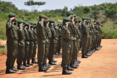 Congolese Soldiers