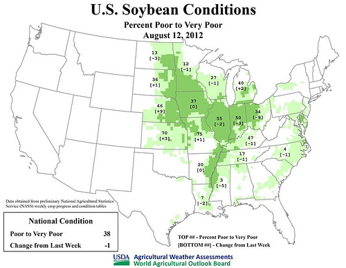 U.S. Soybean Coinditions, August 12, 2012. Data obtailed from preliminary National Agricultural Statistics Service (NASS) weekly crop progress and condition tables. 