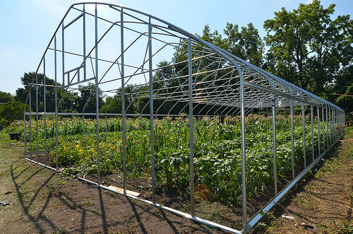 A polyethylene cover will be added to this frame to allow a seasonal high tunnel to do its job – provide a warmer climate for plants.