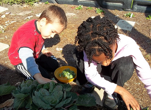 The A-B-C Garden at the Jewish Community Alliance of Jacksonville, FL helps support an early childhood curriculum.