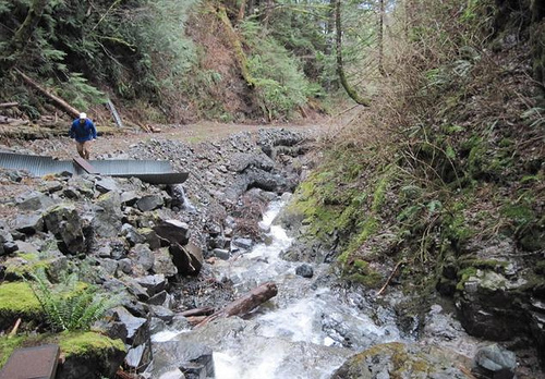 Project Manager Mike MarcAurele looks at the water source for the Alaska Native village of Kasaan.  Working with our partners, USDA funding is being used to improve water quality and sanitation across rural Alaska.  (Photo used with permission of Jerry Cnossen, Superintendent, ANTHC – DEHE)