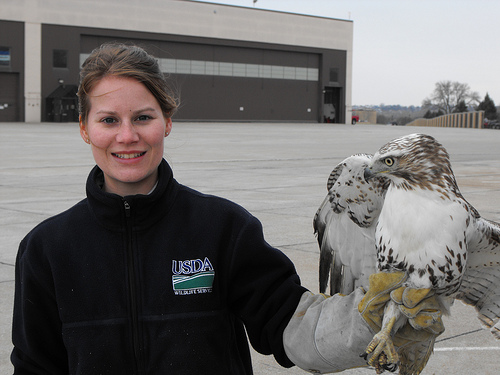 Marie Griffin and/or Steve Baumann hold raptors that will be relocated 