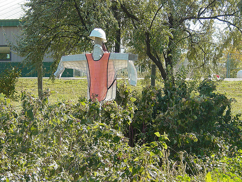 Winyan Toka Win Garden, a 1.5 acre naturally raised garden, which is a major component of the Sustainable Systems initiative.