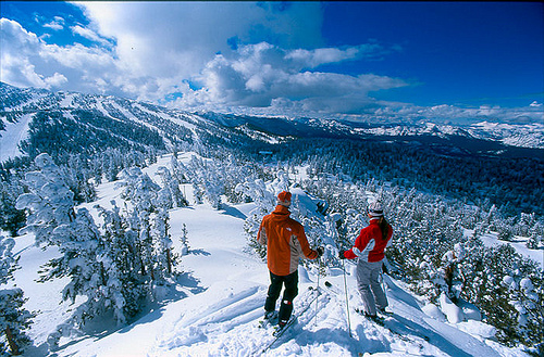 National forests provide about 60 percent of all ski areas in the United States.