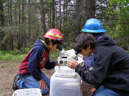 Children looking through microscopes in a forest.