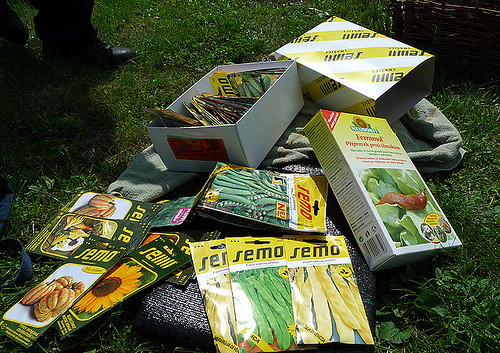 An abundance of fresh produce has been grown in the People’s Garden at the U.S. Embassy in Prague, Czech Republic. (Photo courtesy of U.S. Embassy, Prague)