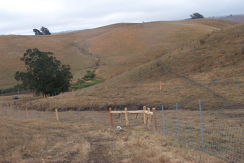 Recovery Act funds helped install riparian fencing on Elizabeth Cunningham’s ranch. 