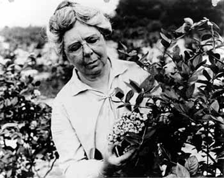 AMS, Women’s History Month, Elizabeth Coleman White, Blueberries, Research and Promotion Program, Specialty Crop Block Grant Program