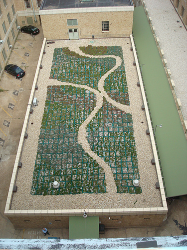 Photo of green roof on court 5 of the South Building.  Saves energy and reduces excessive stormwater runoff (which supports our efforts to restore the Chesapeake Bay).