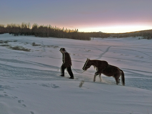 As night falls, SerVivor is led out on the trail created by the Routt Power Riders snowmobile club members.