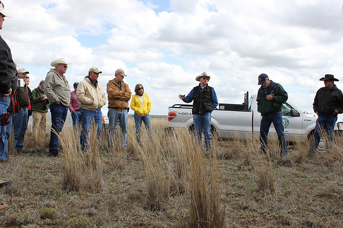 L.H. Webb, a rancher in Pampa, Texas, addresses the group at the training on his ranch to explain the management practices he has implemented to benefit the lesser prairie-chicken.