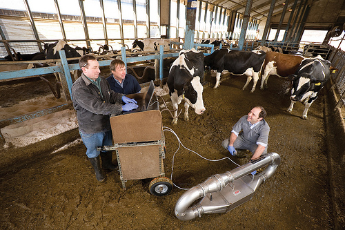 (Left to right) Pennsylvania State University agricultural engineer Michael Hile, ARS agricultural engineer Al Rotz and ARS research associate Felipe Montes use a dynamic flux chamber to measure the emission rates of gaseous compounds from manure on a dairy barn floor. ARS photo    