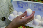 woman's hand holding eggs in a carton