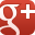 Google+ icon