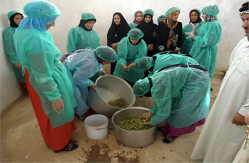 A group of Iraqi women work with vegetables during a Food Preservation Project course offered in Baghdad. Foreign Agricultural Service (FAS) agricultural advisor Thaddeus White and the Baghdad Provincial Reconstruction Team (PRT) he was assigned to worked with local non-governmental organizations to offer the course to widows and women in need. Photo credit: Thad White