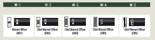 Army warrant officer rank insignias