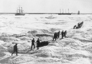 On March 26, 1898, the relief party sights the most westerly of the icebound whaling vessels. U.S. Coast Guard photo.