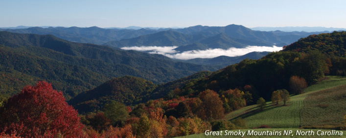 Webcam image of fall colors in Great Smoky Mountains NP from Purchase Knob, North Carolina