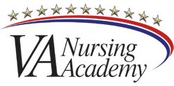 Veterans Affairs Nursing Academy logo