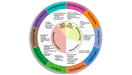 A circle containing domain areas of School Readiness