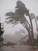 High Winds & Tornadoes