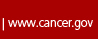 www.cancer.gov