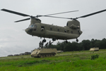 Sgt. 1st Class Joshua P. Hoffman, Staff Sgt. Ean M. Taft, Sgt. Donald B. Mims, Spc. Kyle R. Fulton and Pfc. Kevin J. Sutcliffe, air assault and sling load inspector certified members from 6th Squadron, 8th Cavalry Regiment, 4th Infantry Brigade Combat Team, 3rd Infantry Division, sling load a M113 to a CH-47 helicopter, Aug. 27, on Fort Stewart, Ga.