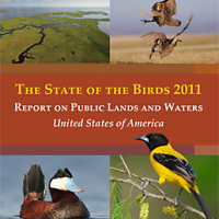 Cover image from 2011 State of the Birds report