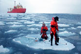 researchers on an ice flow