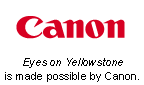 Canon logo