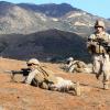 Small-unit leaders guide Marines through live-fire training [Image 3 of 9]