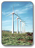 Wind Energy