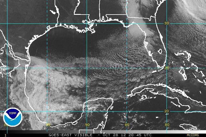 Current satellite image of the Gulf of Mexico