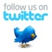 follow us on twitter bird image