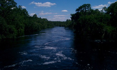 SUWANNEE RIVER AT WHITE SPRINGS, FL