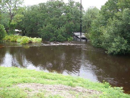 Little Manatee R ne Wimauma