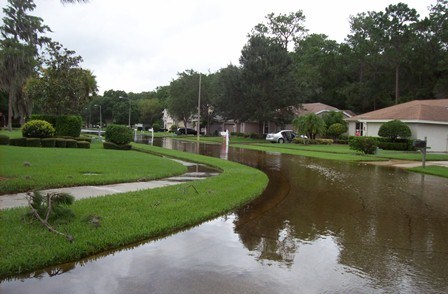 Booker Cr nr Tarpon Springs