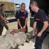 US, French service members hone crisis response procedures during exercise [Image 3 of 15]