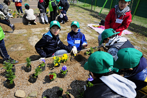 Junior Master Growers-Korea plant flowers in the People’s Garden at the Gwacheon National Science Museum.