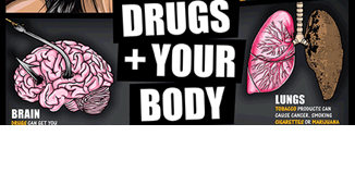 Drugs and Your Body Poster