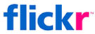 Flickr Icon