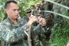 31st MEU learn jungle survival from Philippine Marines