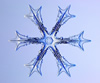 Snowflake photo 9