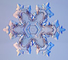 Snowflake photo 7