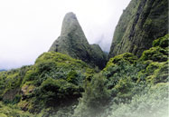 Iao Needle