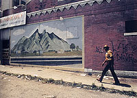 Wall mural of mountains