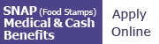 SNAP (Food Stamps) Medical & Cash Benefits - Apply Online